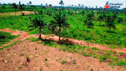 (LM) Royal Bliss Layout Estate, PHASE 1